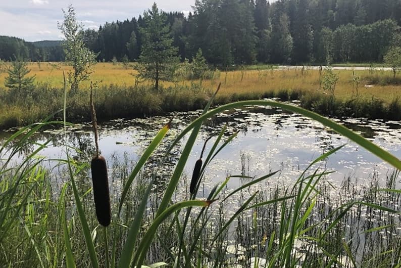 Klimatilpasning i praksis