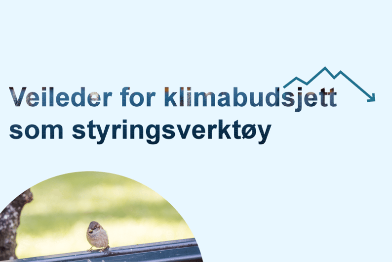 Veileder for klimabudsjett som styringsverktøy