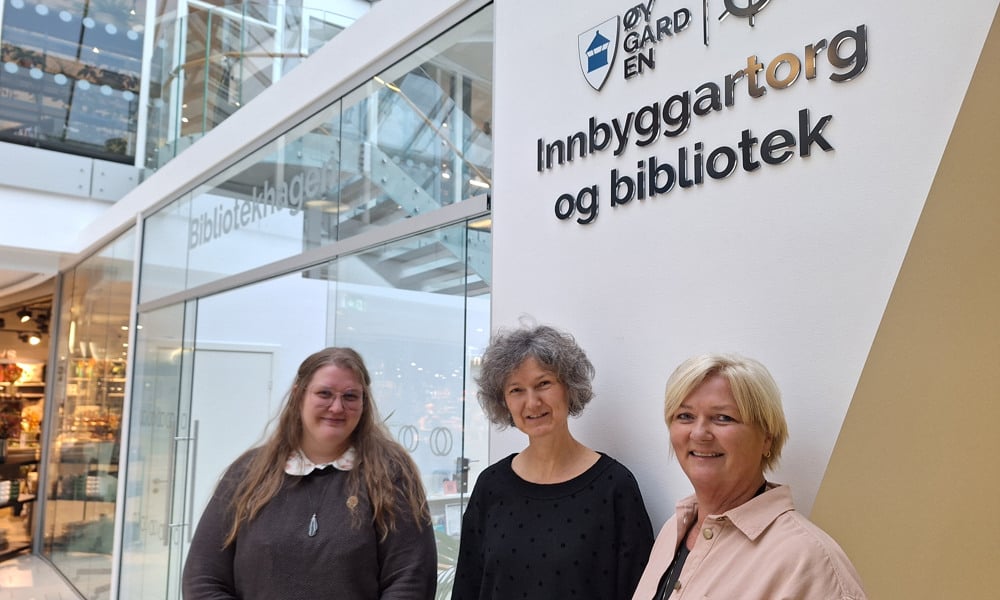 Øygarden har testet ut KI i førstelinjen 
