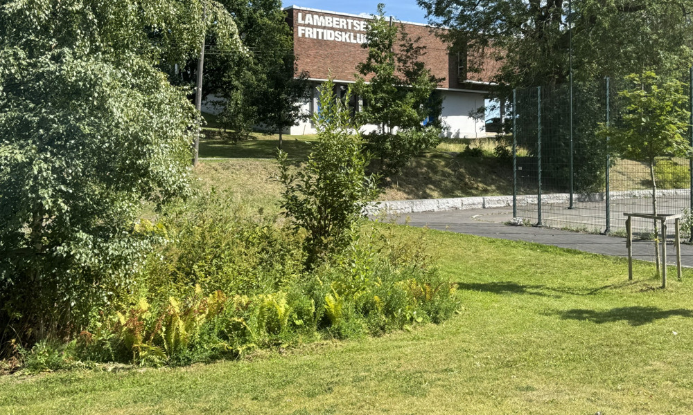 Regnbed som klimatilpasningstiltak mot styrtregn i Lambertseter natur- og fritidspark