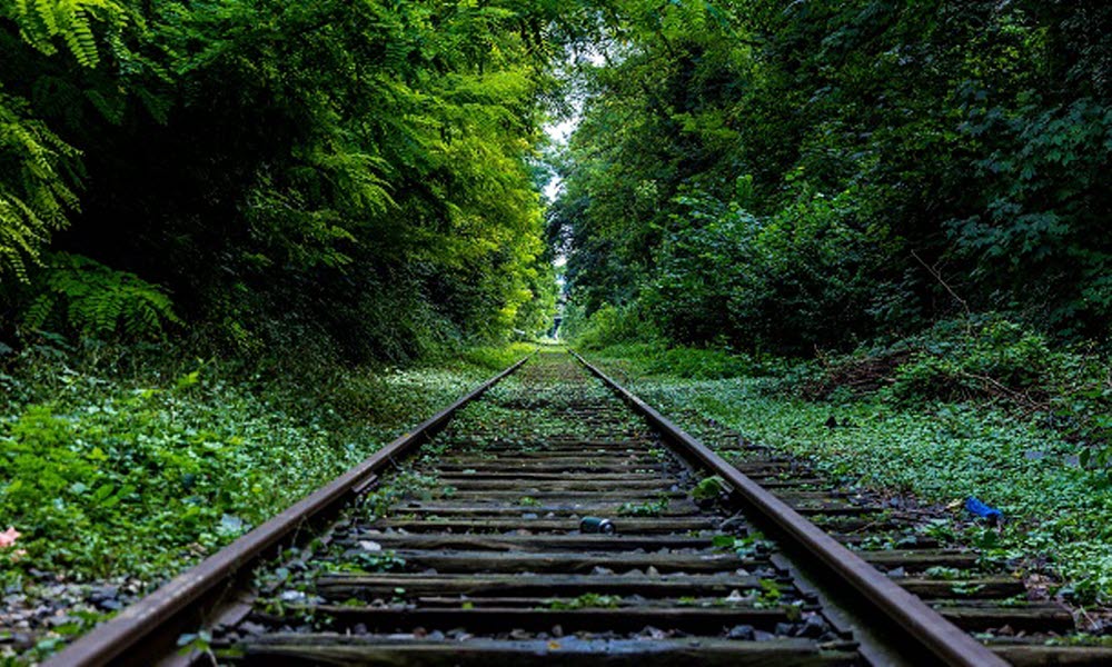Jernbanespor i skogen