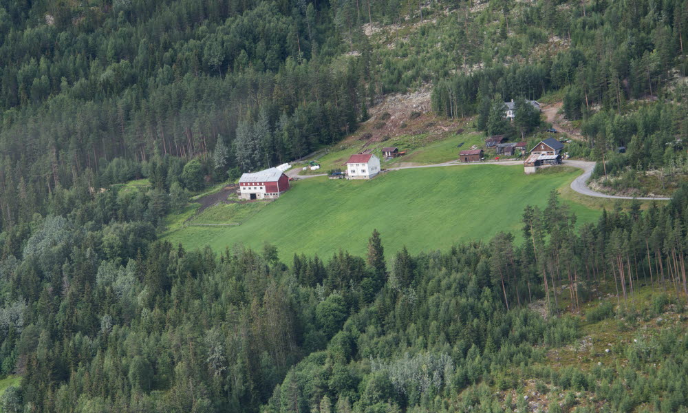Norsk fjellgård landbruk