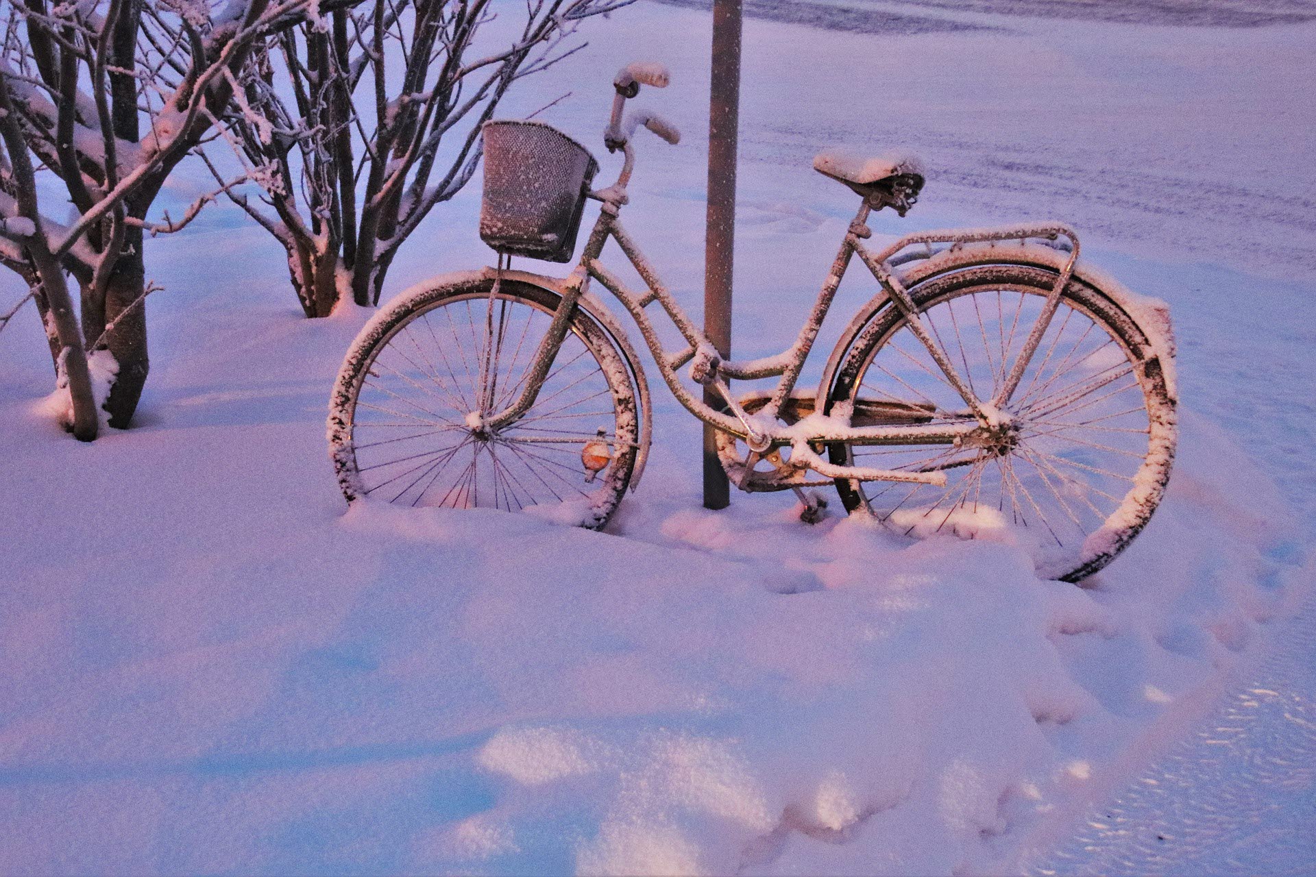 ASSS snø sykkel